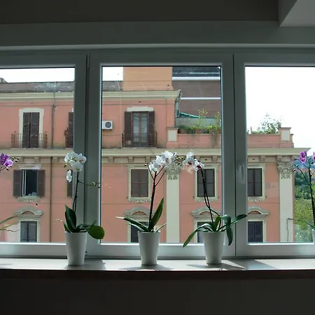 Musa House *