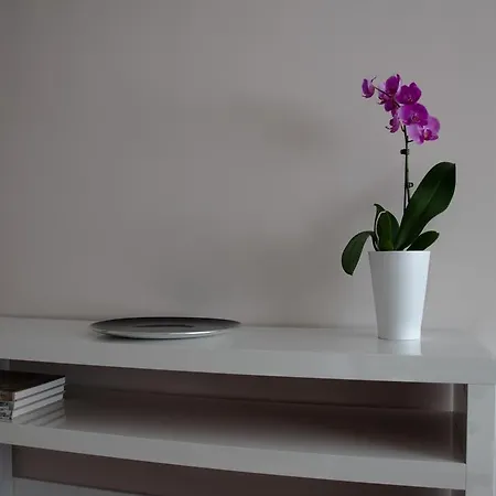 아파트 Musa House *